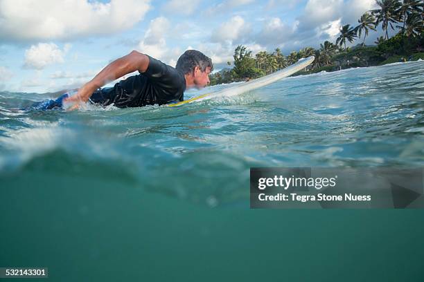 surfing in hawaii - using a paddle stock pictures, royalty-free photos & images