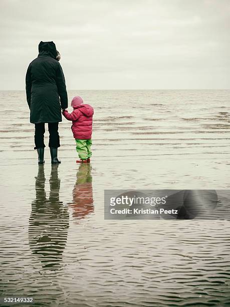parent and child in the wadden sea - cuxhaven stock-fotos und bilder