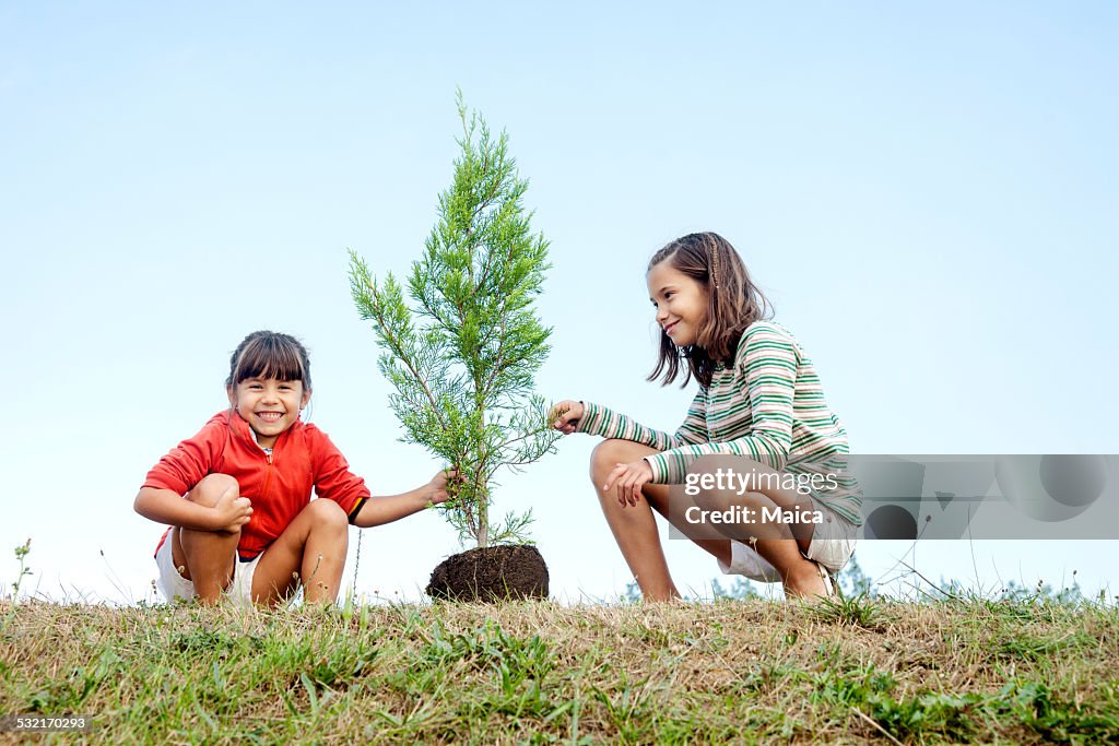 Sisters Pflanzen Sie einen Baum