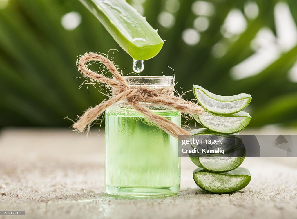 Aloe Vera Leaves