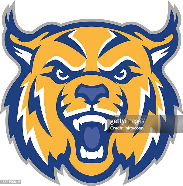 bobcat head - bobcat stock illustrations