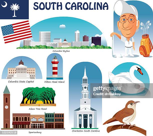 ilustraciones, imágenes clip art, dibujos animados e iconos de stock de símbolos de carolina del sur - columbia south carolina