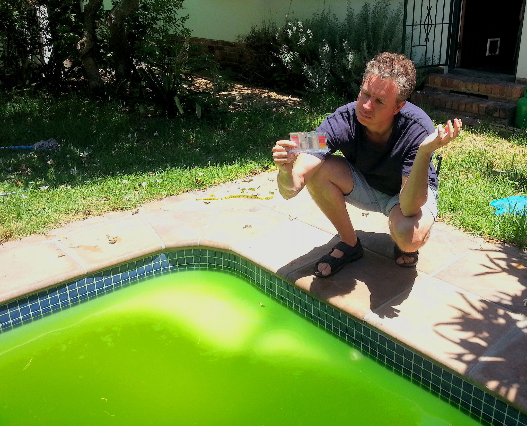 green pool cleanup