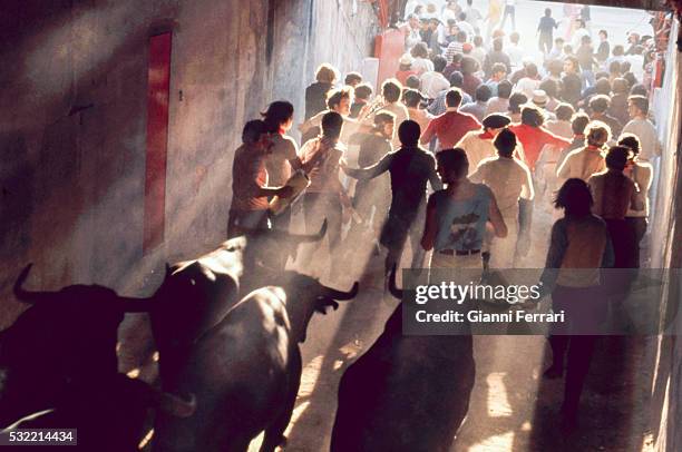 View of the running of the bulls during the Festival of San Fermin, Pamplona, Navarra, Spain, July 7, 1988.