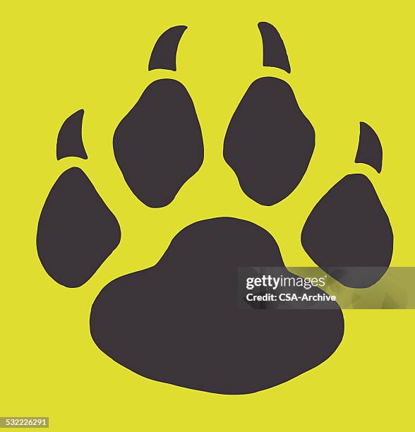 paw print - animal foot stock illustrations