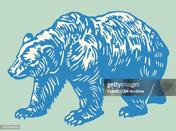 ilustraciones, imágenes clip art, dibujos animados e iconos de stock de bear - oso