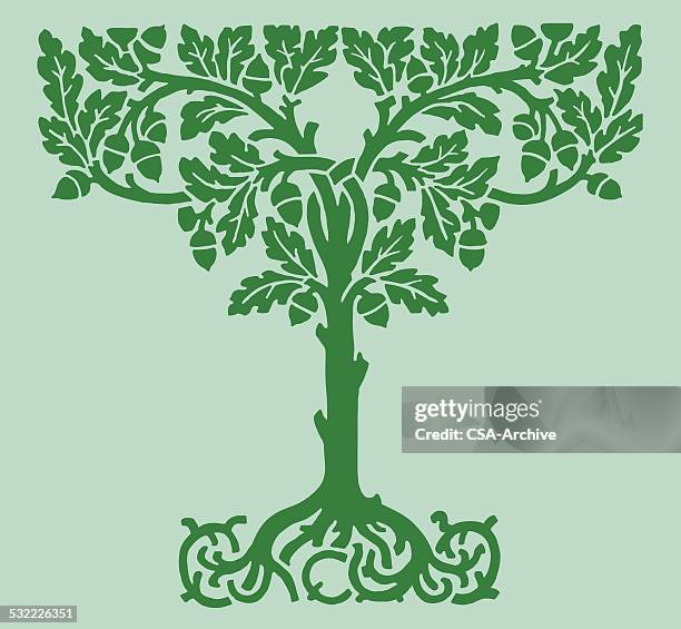 ilustraciones, imágenes clip art, dibujos animados e iconos de stock de árbol con raíces expuestos - árbol genealógico