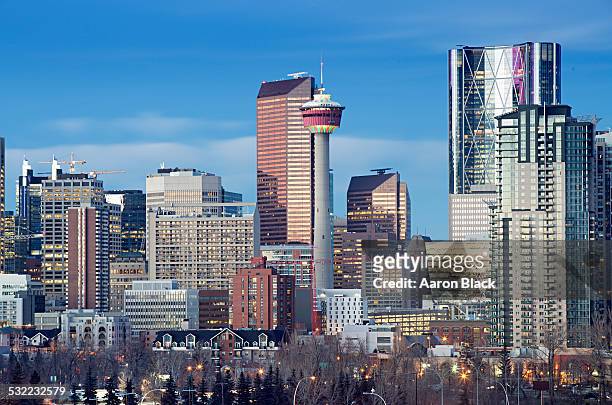 tower and large buildings lit up at twilight - calgary stockfoto's en -beelden