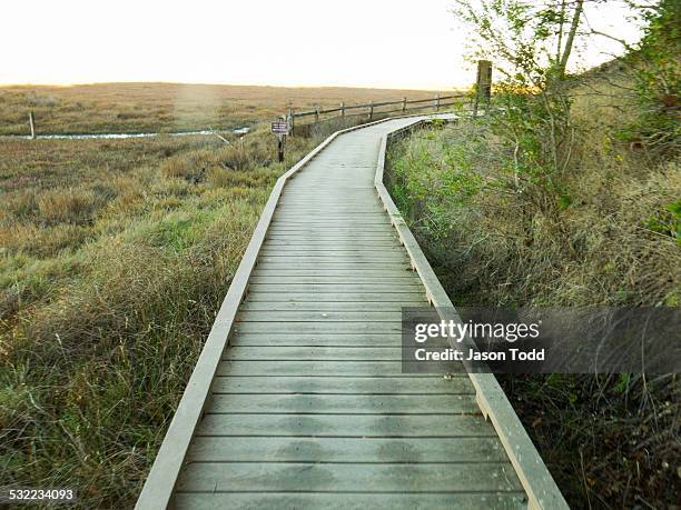 boardwalk through estuary marshland - san rafael california stock pictures, royalty-free photos & images