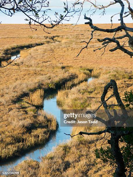 waterway through marshland estuary - san pablo bay ストックフォトと画像