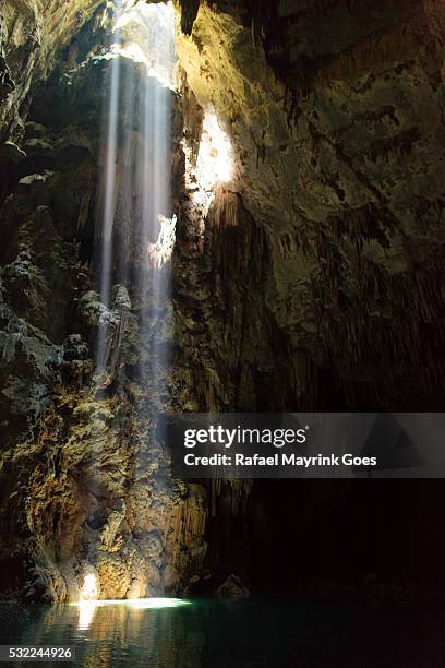bonito natural wonders - état du mato grosso do sul photos et images de collection