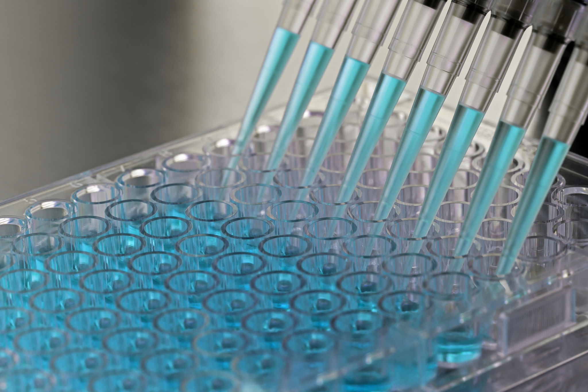 paternity test lab