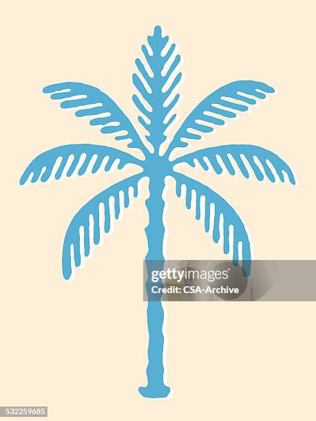 palm tree - felsmalerei stock-grafiken, -clipart, -cartoons und -symbole