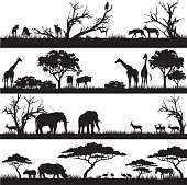 African safari silhouettes