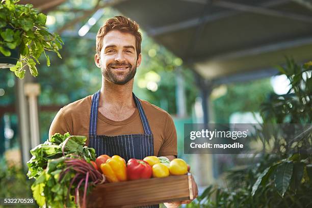 organically grown produce without the pesticides - groenteboer stockfoto's en -beelden