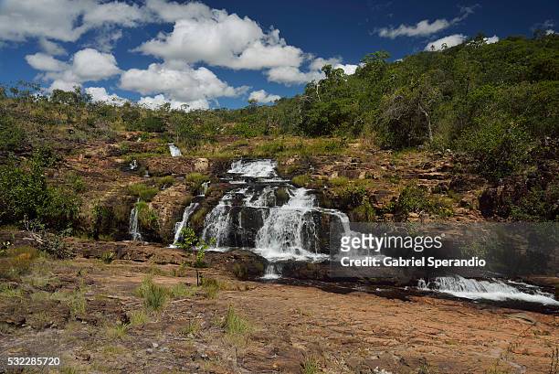 cachoeira banho dos macacos - macacos stock pictures, royalty-free photos & images