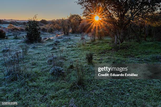 sunrise on a cold morning - extremadura stockfoto's en -beelden