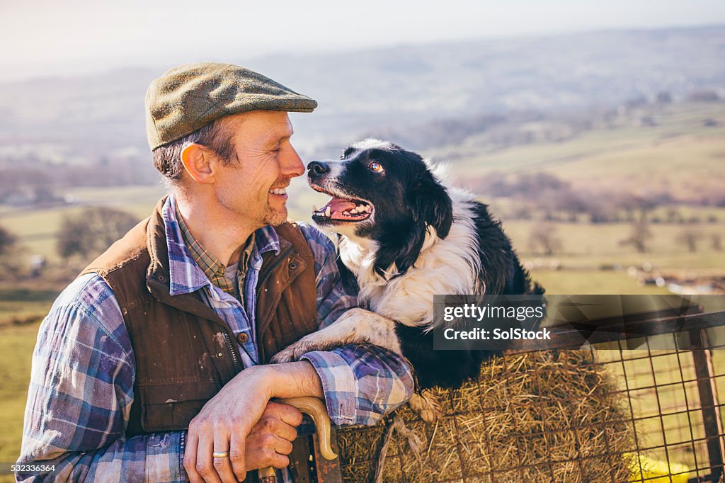 Mature Farmer and His Sheepdog