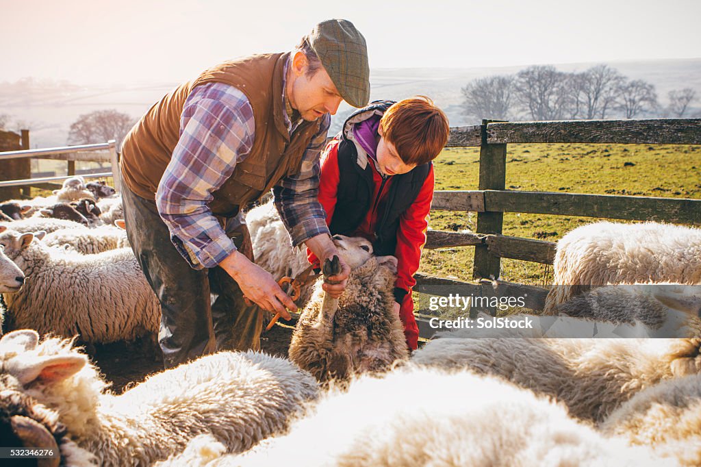 Passing on Expertise to the Next Generation