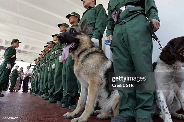 Chinese police gather on a deck of a cargo ship at a port in Fuzhou, southeastern China's Fujian province 13 July 2005, in a drill to step up their...