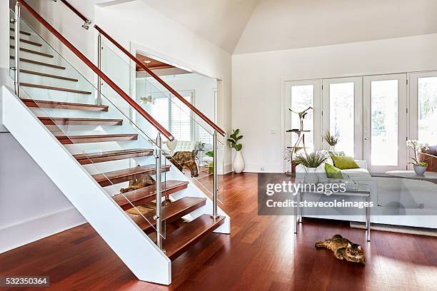 stairs - hardwood floor stock pictures, royalty-free photos & images