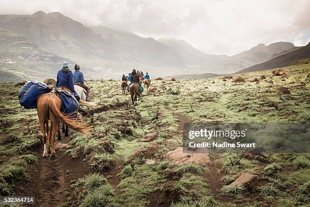 pony trekking in lesotho - trail ride stock pictures, royalty-free photos & images