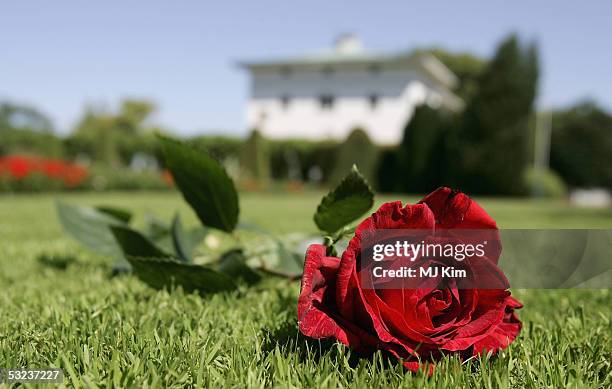 Rose is seen in front of Solliden Palace, the Royal summer residence, where Crown Princess Victoria of Sweden attends celebrations for her 27th...