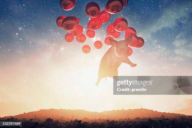 smug flying pig over the fantasy landscape - flying pig stock pictures, royalty-free photos & images
