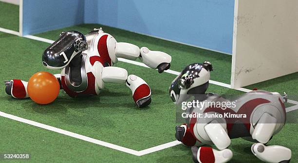 The Goalkeeper of Sony's four-legged Aibo robots team practices its saving skills prior to a game during the RoboCup 2005 on July 15, 2005 in Osaka,...