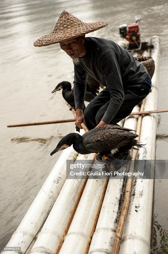 Cormorant fisherman on a raft on the river Li