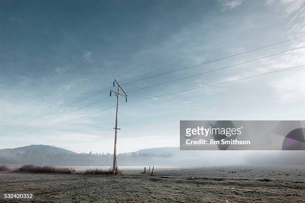 utility pole in misty field - utility pole stock pictures, royalty-free photos & images
