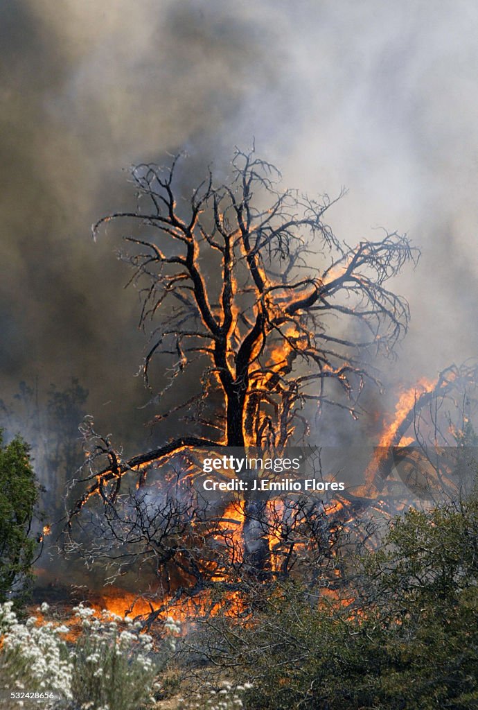 Wildfires in Northern Los Angeles