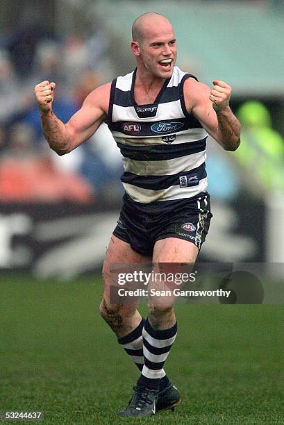 Paul Chapman for Geelong celebrates a goal during the AFL Round 16 match between the Geelong Cats and Port Adelaide Power at the Skilled Stadium July...