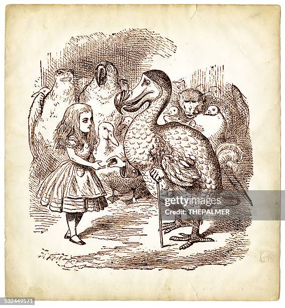 the dodo and alice in wonderland - alice in wonderland fictional character stock illustrations