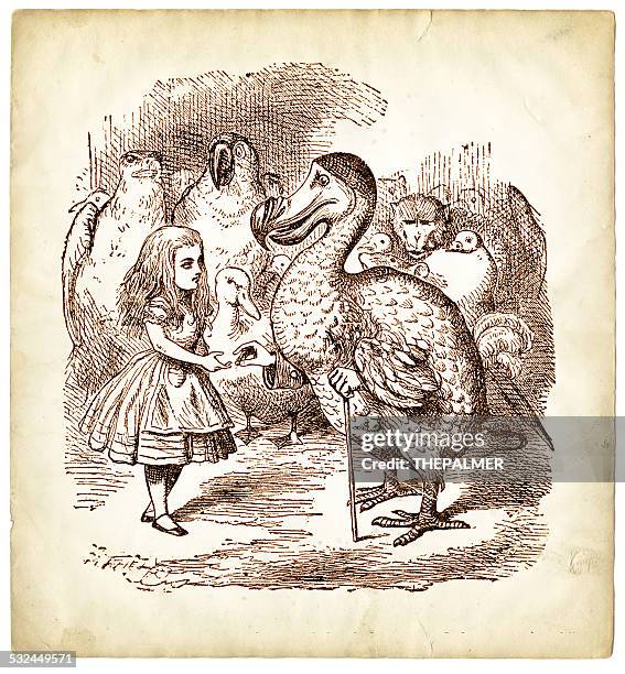 the dodo and alice in wonderland - dodo stock illustrations