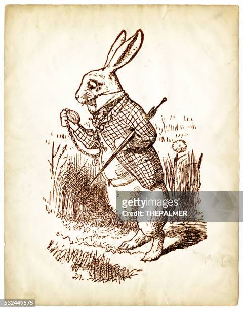 the white rabbit from alice in wonderland - alice in wonderland fictional character stock illustrations