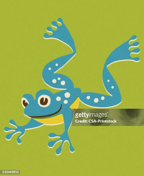 jumping-frosch - frogs in wetlands stock-grafiken, -clipart, -cartoons und -symbole