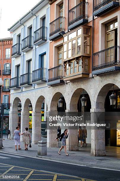 Features of Valladolid, historic city and municipality in north-central Spain, situated at the confluence of the Pisuerga and Esgueva rivers --- View...