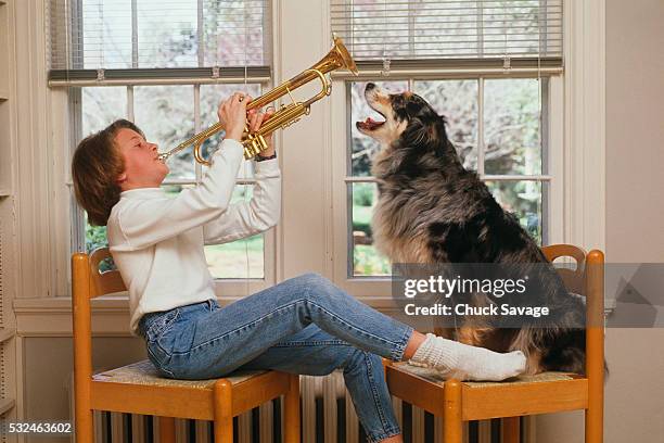 girl playing trumpet to dog - savage dog stock pictures, royalty-free photos & images