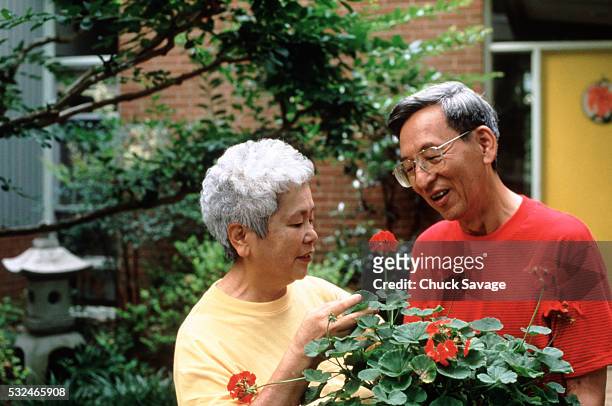 senior couple inspecting their garden - 日本人　英語 ストックフォトと画像