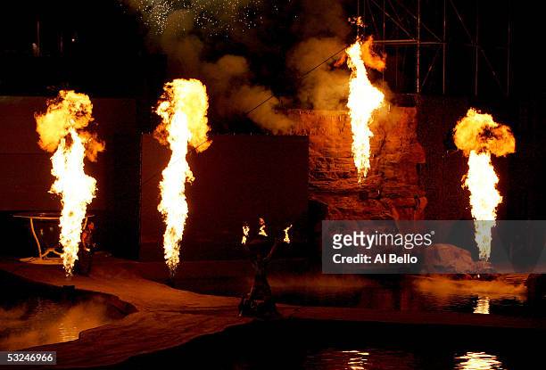 Cirque Du Soleil performer, Karl Sanft, performs during the opening ceremony for the XI FINA World Championships on July 16, 2005 at the Parc...