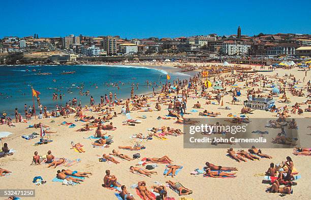 crowded bondi beach in australia - bondi beach stock-fotos und bilder