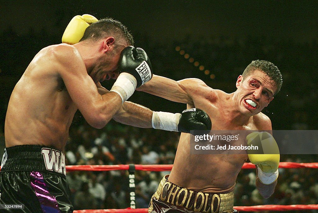 Super Bantamweight Championship: Wayne McCullough v Oscar Larios
