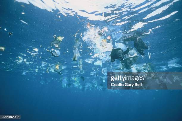 plastic garbage is swimming on rhe water surface - wasserverschmutzung stock-fotos und bilder