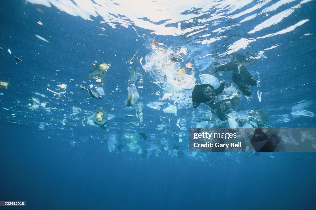 Plastic garbage is swimming on rhe water surface