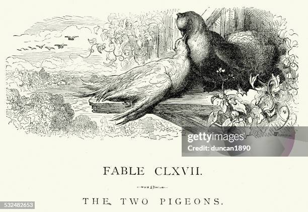 illustrations, cliparts, dessins animés et icônes de la fontaine les fables-les deux les pigeons - fable de la fontaine