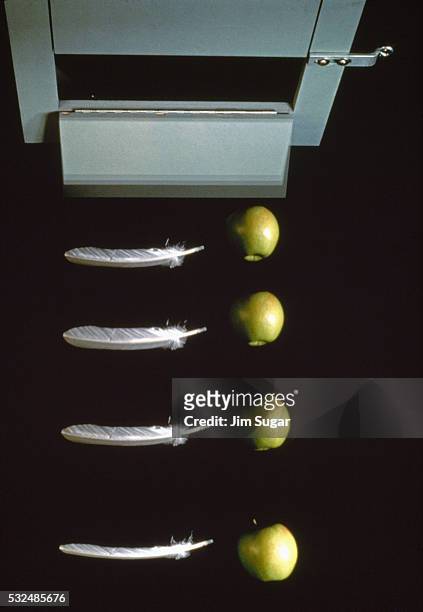 feather & apple drop in vacuum chamber - gravitational field stock pictures, royalty-free photos & images