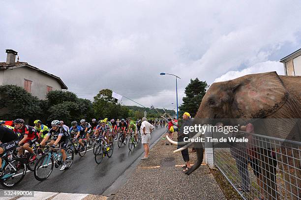 101th Tour de France / Stage 19 Illustration Illustratie / Peleton Peloton / Elefant Olifant Fans Supporters / Landscape Paysage Landschap /...