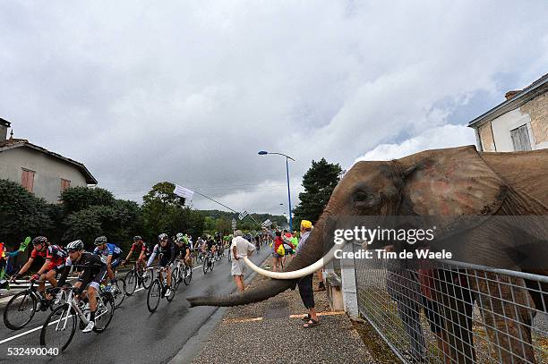 101th Tour de France / Stage 19 Illustration Illustratie / Peleton Peloton / Elefant Olifant Fans Supporters / Landscape Paysage Landschap / IRIZAR...