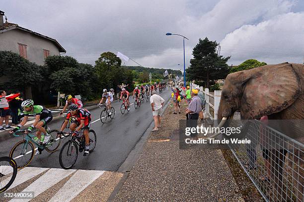 101th Tour de France / Stage 19 Illustration Illustratie / Peleton Peloton / Elefant Olifant Fans Supporters / Landscape Paysage Landschap / Laurens...
